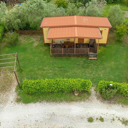 Agriturismo Nonna Stella Bibbona Exteriér fotografie