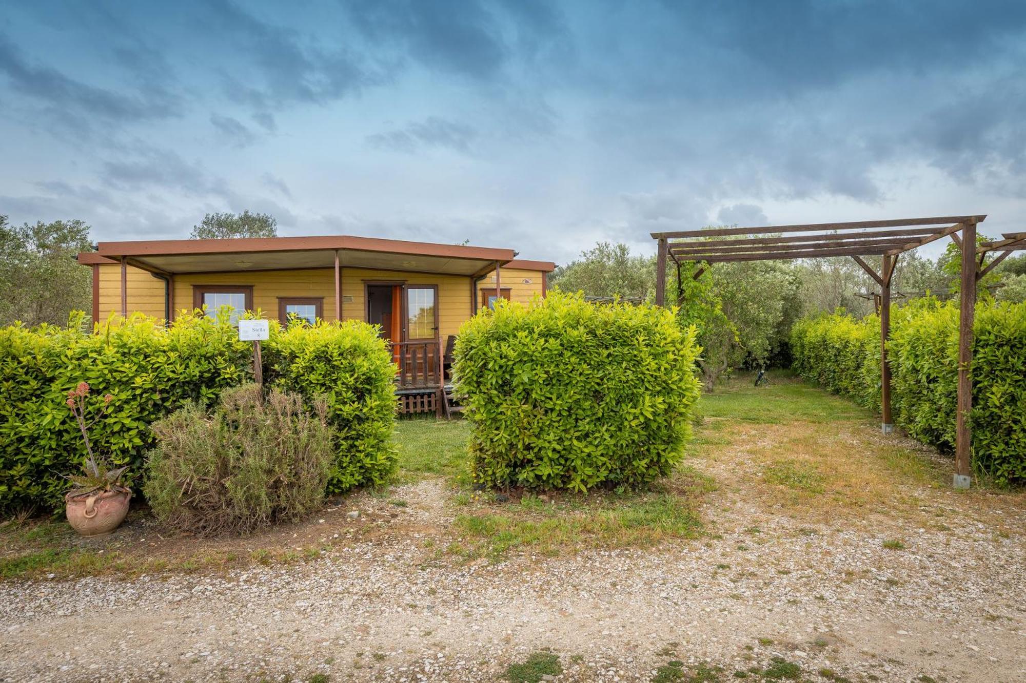 Agriturismo Nonna Stella Bibbona Exteriér fotografie